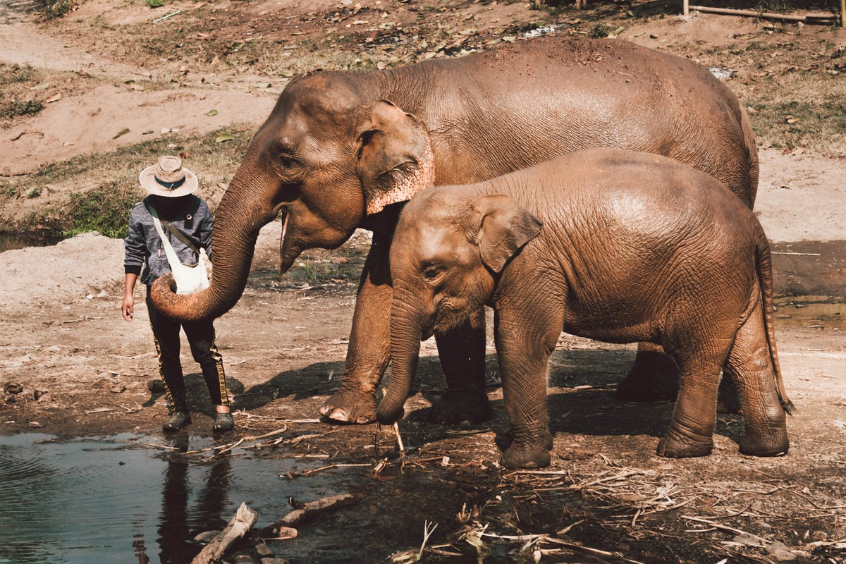 7 must-see destinations while teaching in Vietnam