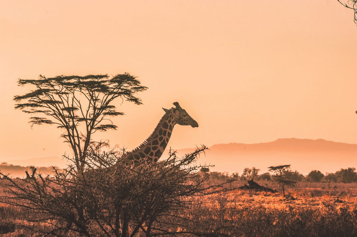 Top 10 Hot Destinations in January!