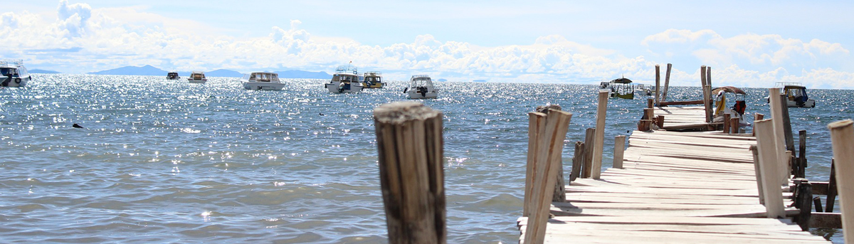 How to Find Well Paid Teaching Jobs in Bolivia ??