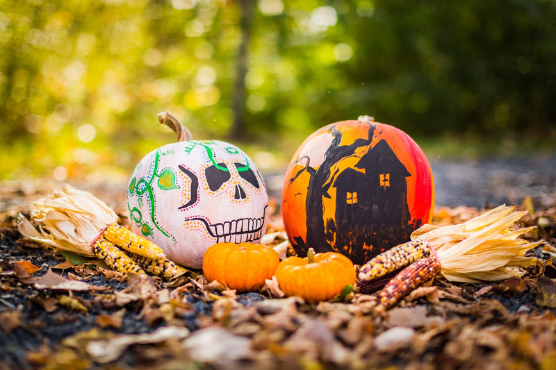 7 Fall ESL Activities to Swoon Over