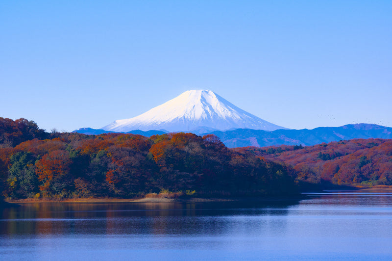Mount Fuji landscape in Japan, a top destination for teaching English abroad