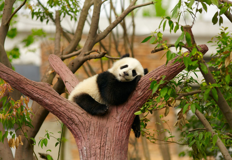 7 Reasons Why You NEED To Visit China