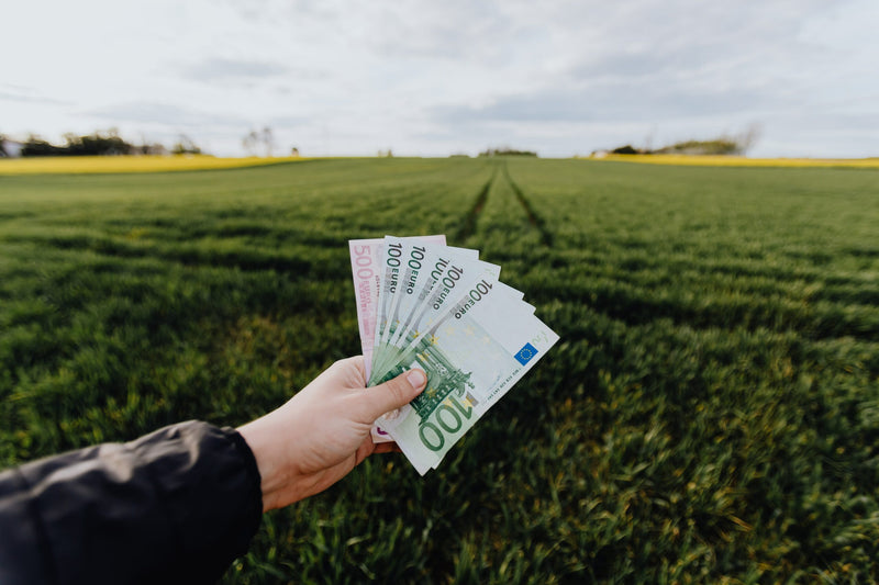 Boost Your Salary as a Niche TEFL Teacher