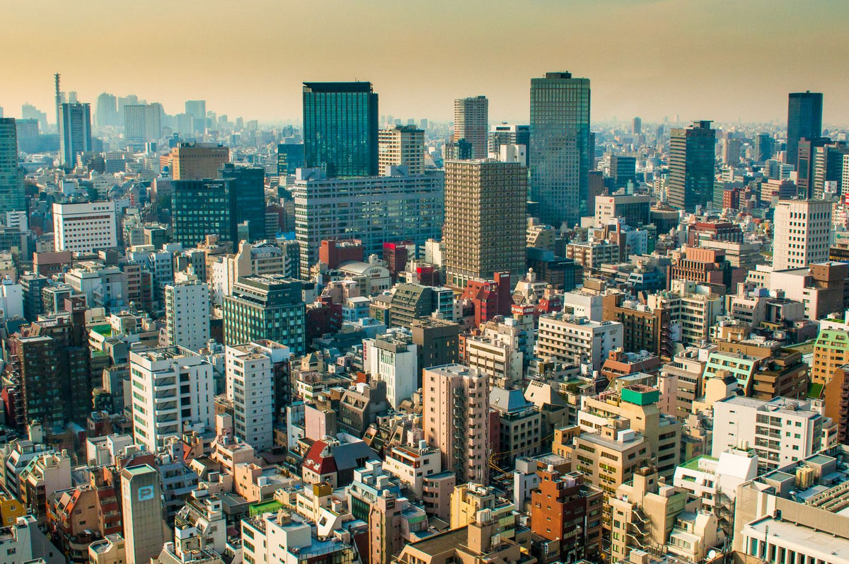 Tokyo skyline representing the journey to teaching English in Japan before arrival