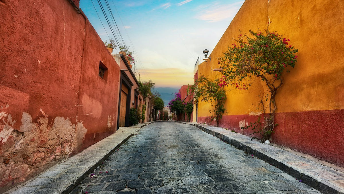 Colorful residential street in Mexico where English teachers live on a temporary resident visa