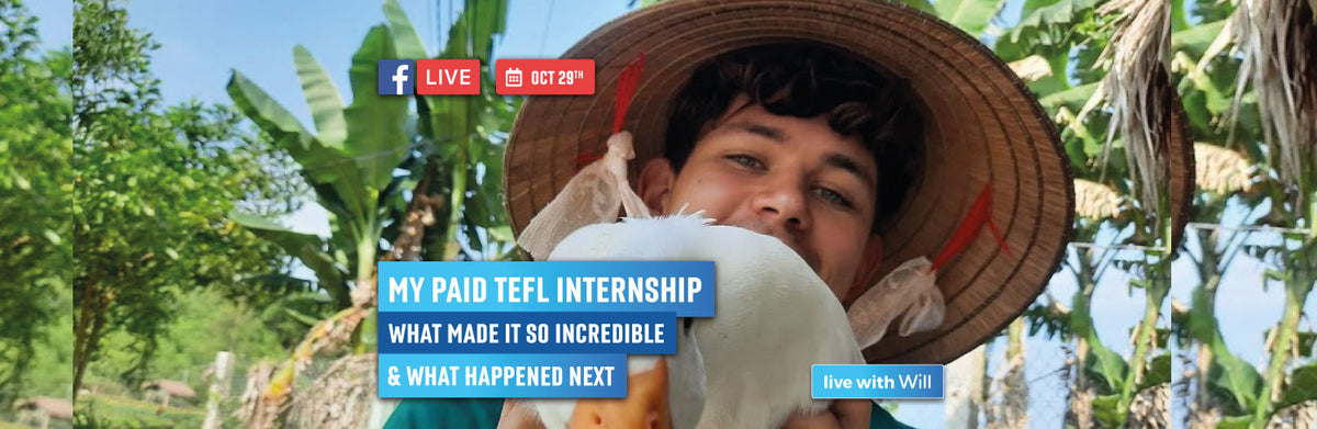 My Paid TEFL Internship: What Made it so Incredible & What Happened Next