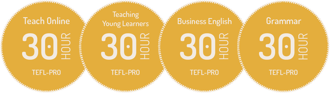 Teach Online Specialist course bundle