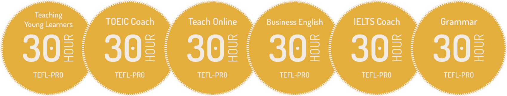 Ultimate TEFL-Pro Bundle