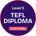 Level 5 TEFL Diploma Trial - 3 Day Access