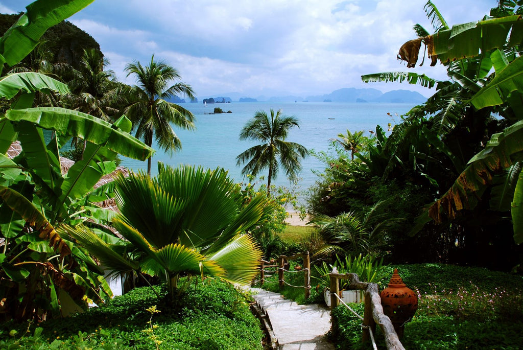 See view