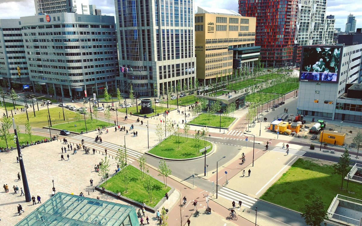 Find TEFL Jobs in Rotterdam with Premier TEFL