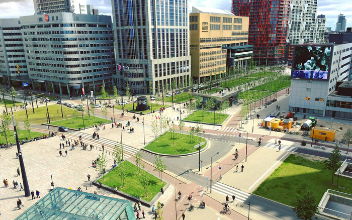 Rotterdam