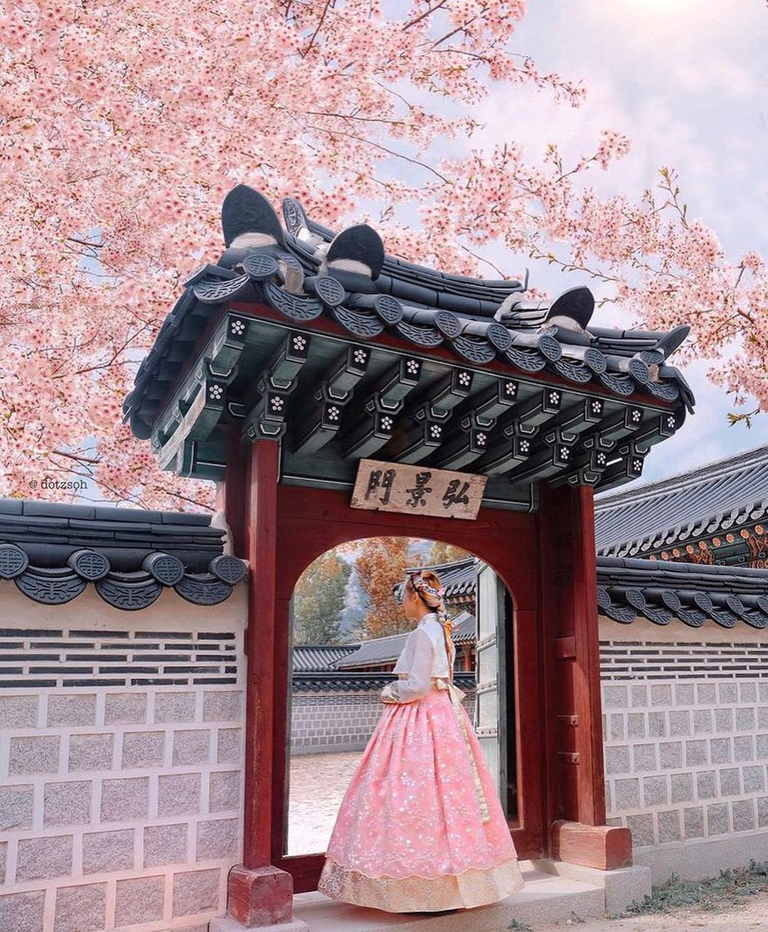 internship south korea 1