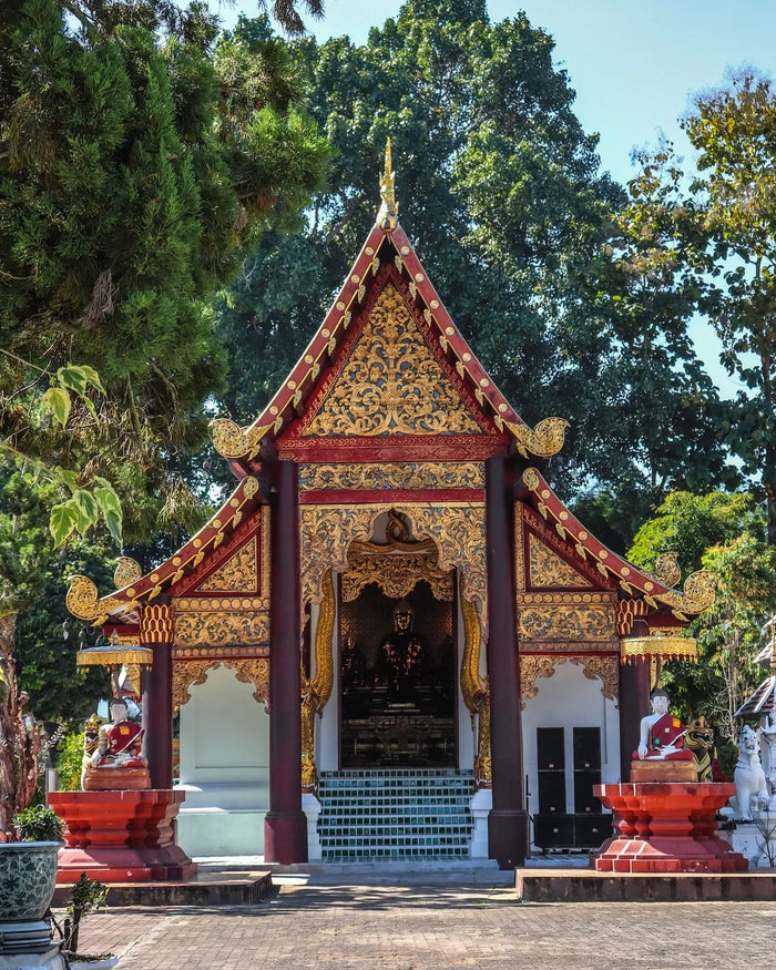 internship thailand chiang mai 4