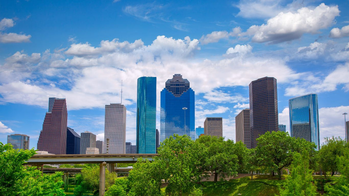 TESOL / TEFL Houston: Train Where the World Teaches