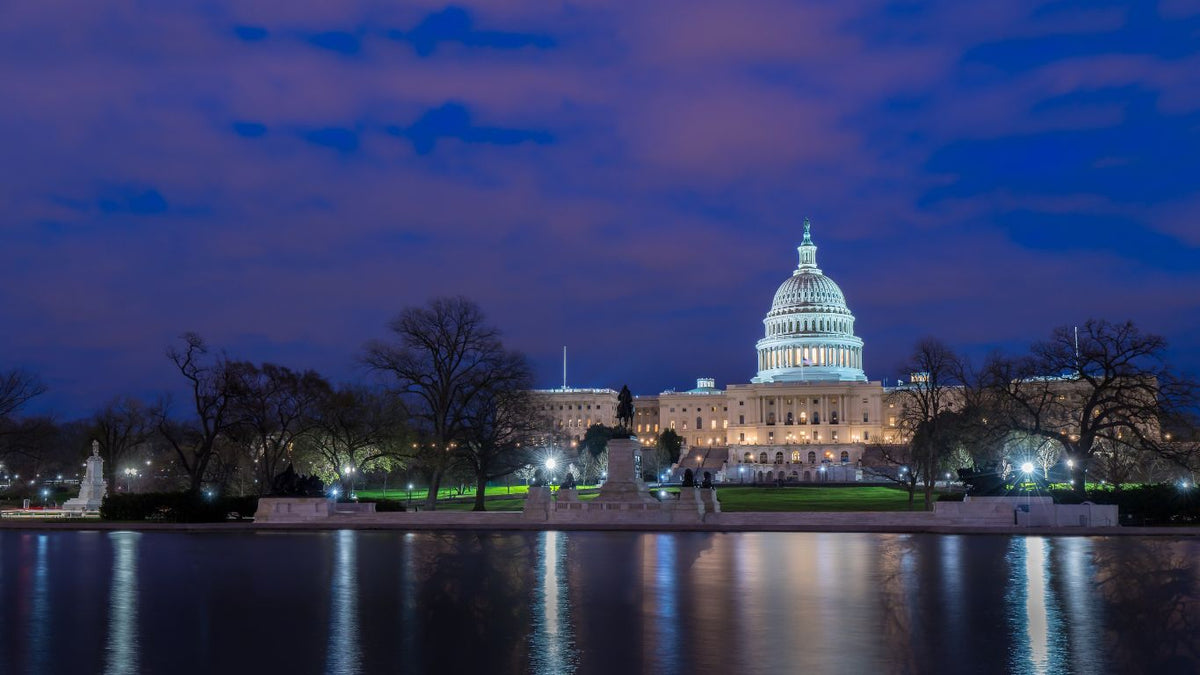 TESOL/TEFL in Washington, D.C.: A Gateway to International Teaching