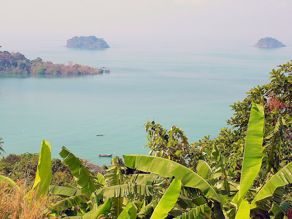 View of the Sea