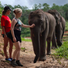 Launch Your Teaching Career in Vietnam: Guest Speaker Q&A + Internship Guide