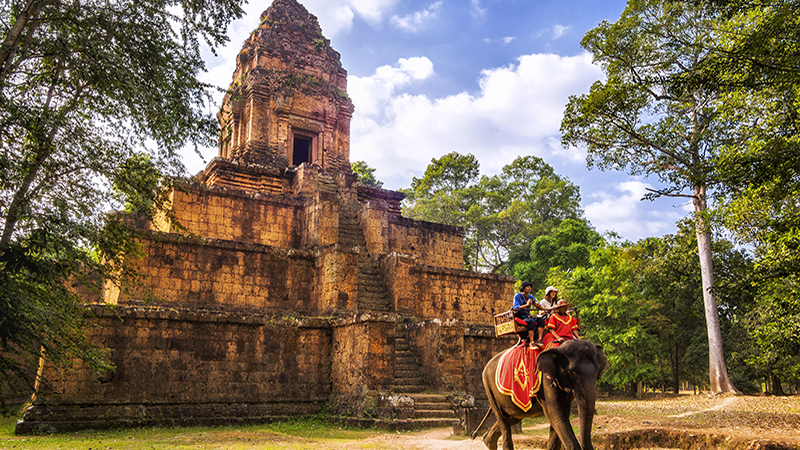 Elephant and temples in Cambodia