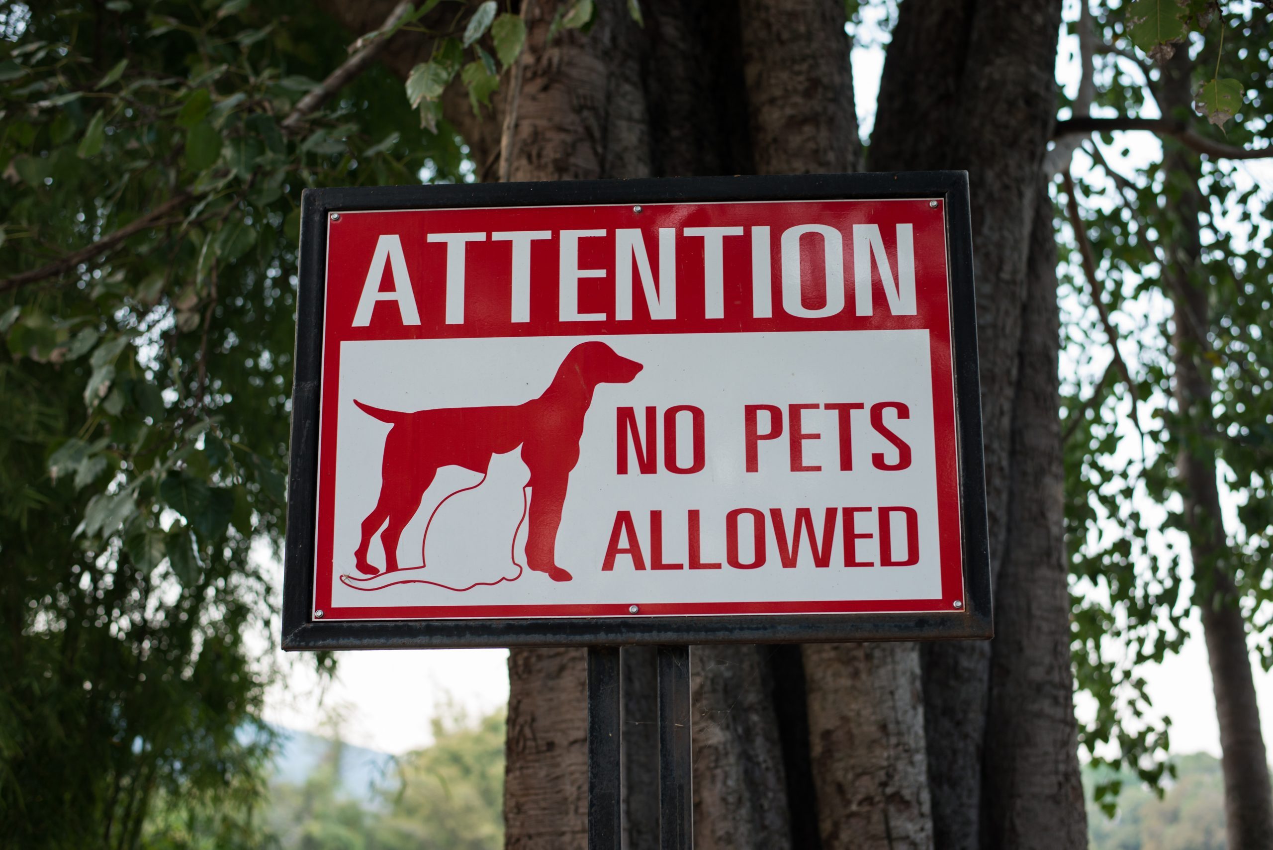 No Pets allowed sign