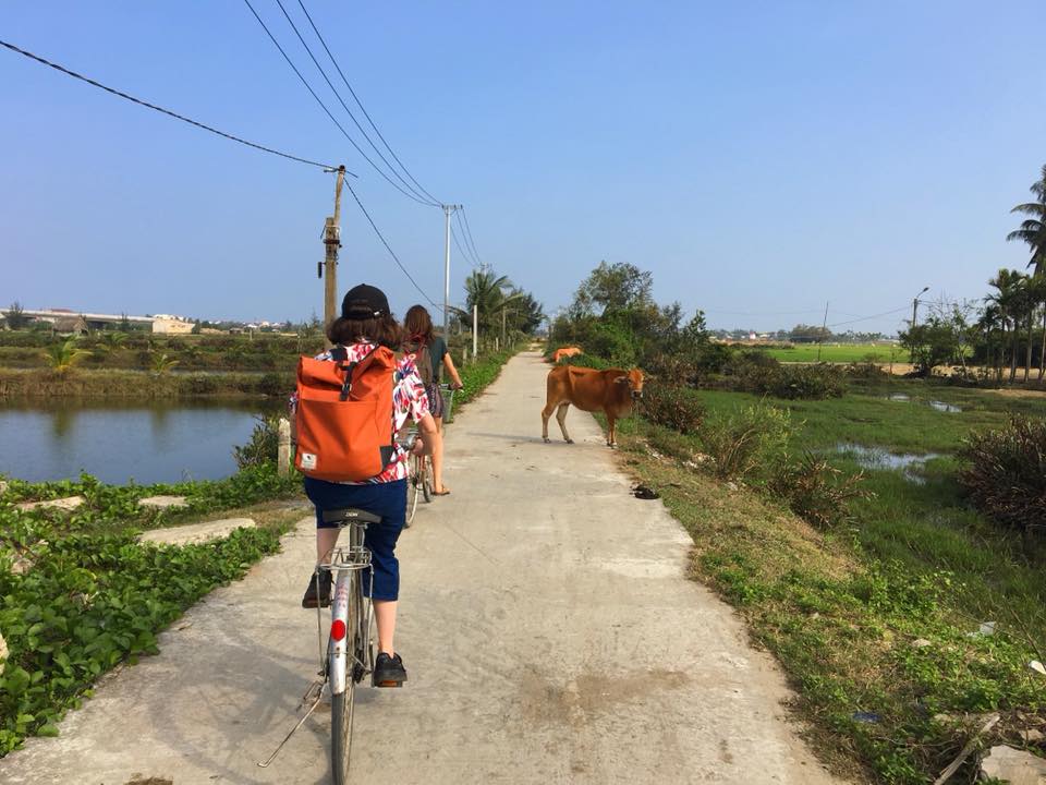 Niamh cycling down a country road 