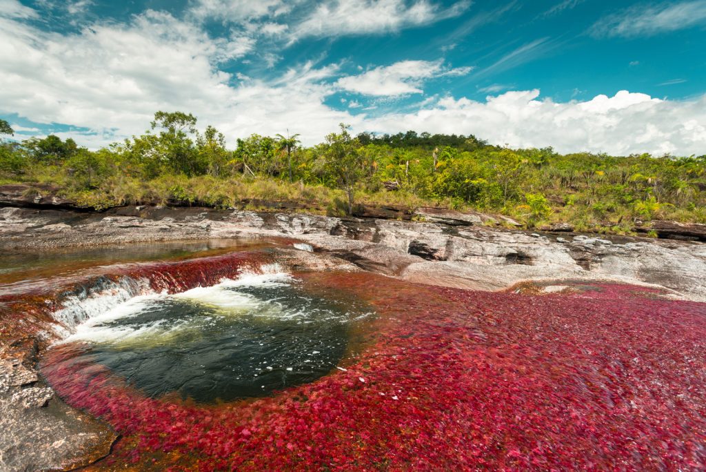 The red river in the Colombian national park.   Teaching English in Colombia