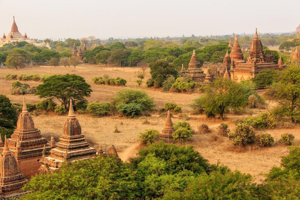 Myanmar, temples in desert, forest