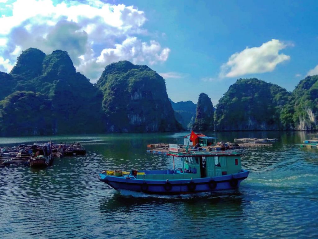 Boats on water -TEFL in Vietnam