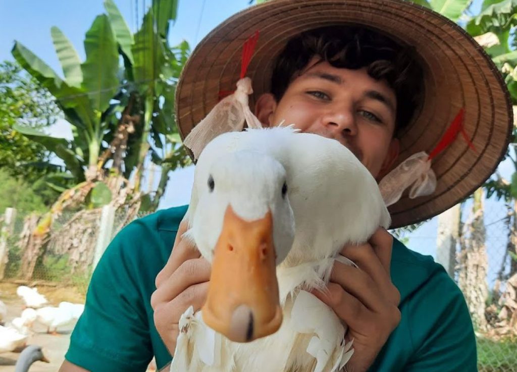 Will holding a duck